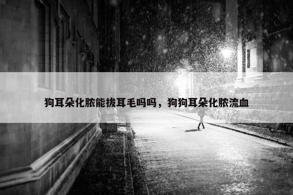 红霉素