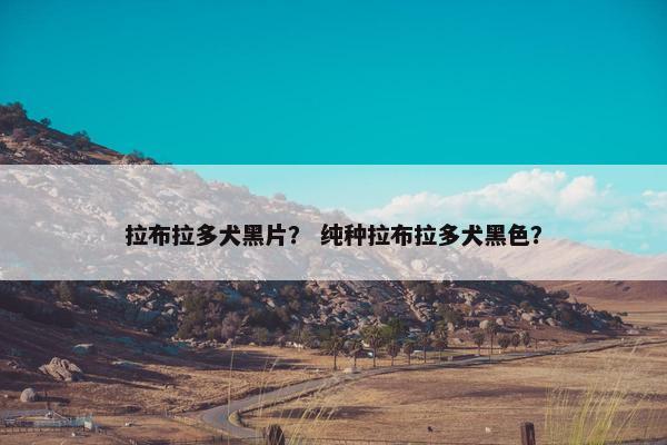 拉布拉多犬黑片？ 纯种拉布拉多犬黑色？