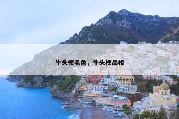 牛头梗毛色，牛头梗品相