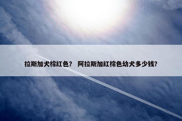 拉斯加犬棕红色？ 阿拉斯加红棕色幼犬多少钱？