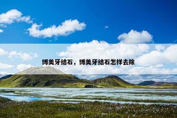 博美牙结石，博美牙结石怎样去除