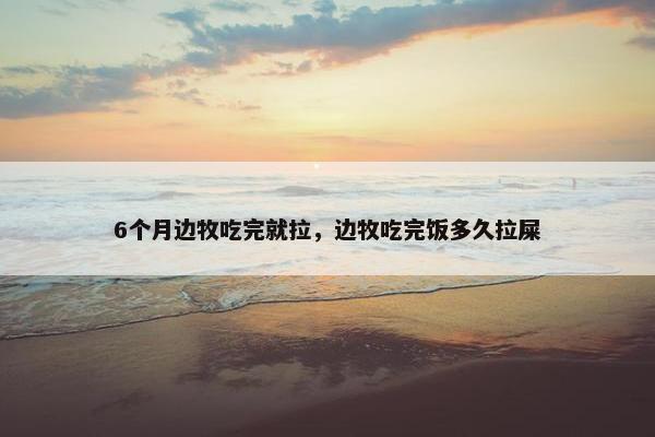 6个月边牧吃完就拉，边牧吃完饭多久拉屎