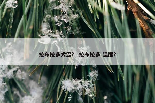 拉布拉多犬温？ 拉布拉多 温度？