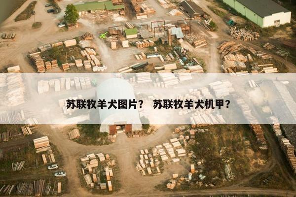 苏联牧羊犬图片？ 苏联牧羊犬机甲？