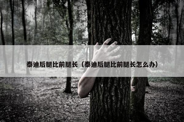 泰迪 第5页