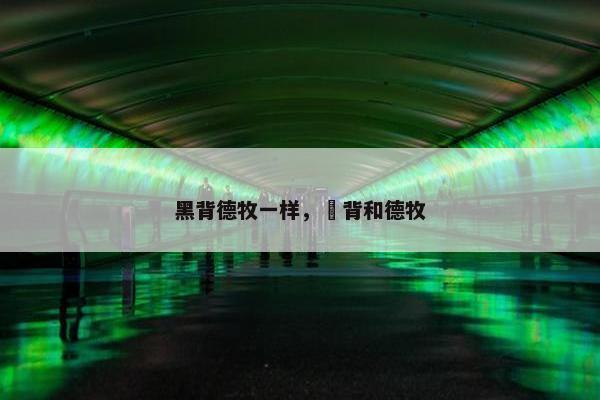 黑背德牧一样，黒背和德牧