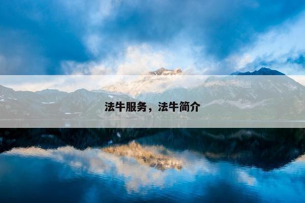 法牛服务，法牛简介