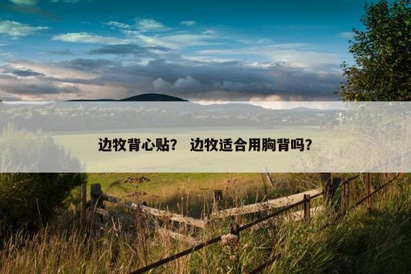 边牧背心贴？ 边牧适合用胸背吗？