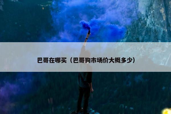 巴哥在哪买（巴哥狗市场价大概多少）