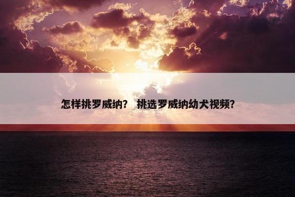 怎样挑罗威纳？ 挑选罗威纳幼犬视频？