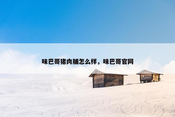 味巴哥猪肉脯怎么样，味巴哥官网