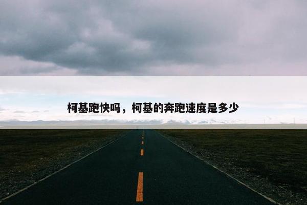 柯基跑快吗，柯基的奔跑速度是多少