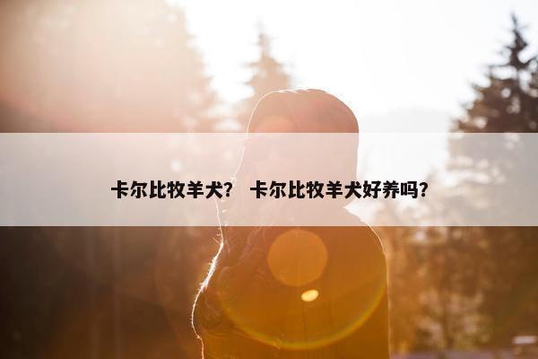 卡尔比牧羊犬？ 卡尔比牧羊犬好养吗？