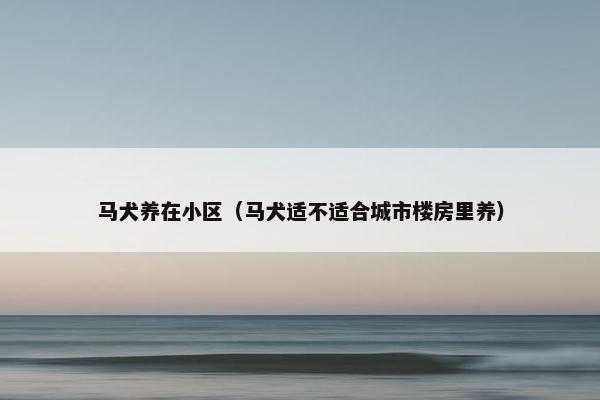 马犬养在小区（马犬适不适合城市楼房里养）