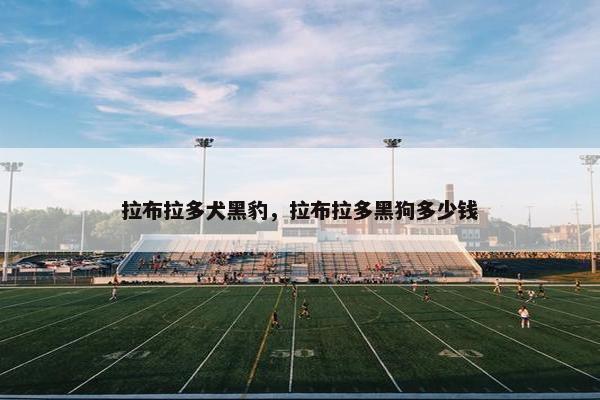 拉布拉多犬黑豹，拉布拉多黑狗多少钱