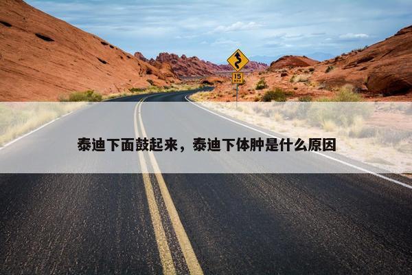 泰迪下面鼓起来，泰迪下体肿是什么原因