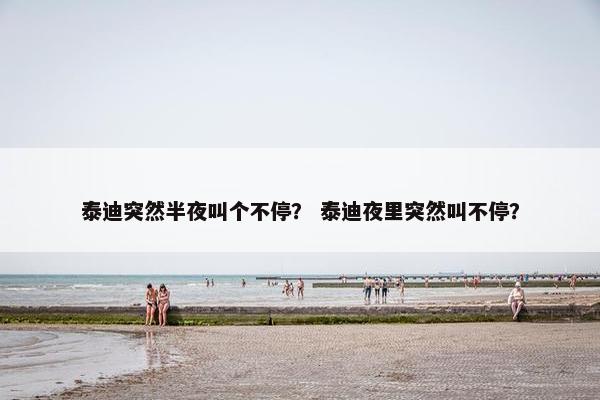 泰迪突然半夜叫个不停？ 泰迪夜里突然叫不停？
