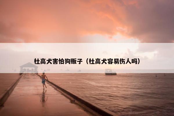杜高犬害怕狗贩子（杜高犬容易伤人吗）