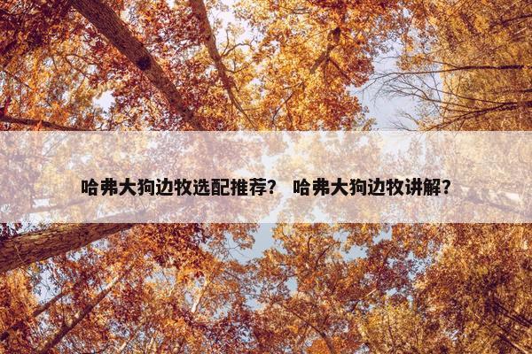 哈弗大狗边牧选配推荐？ 哈弗大狗边牧讲解？