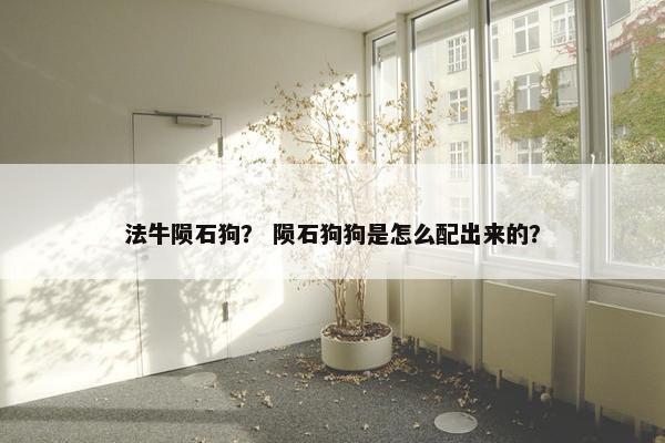 法牛陨石狗？ 陨石狗狗是怎么配出来的？