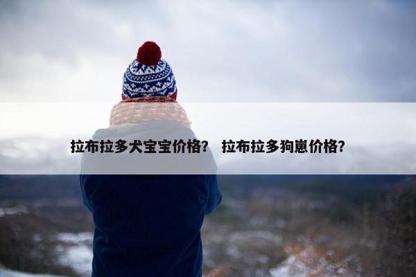 拉布拉多犬宝宝价格？ 拉布拉多狗崽价格？