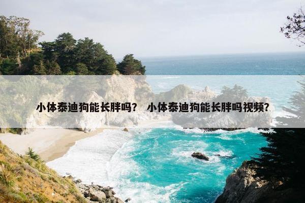 小体泰迪狗能长胖吗？ 小体泰迪狗能长胖吗视频？