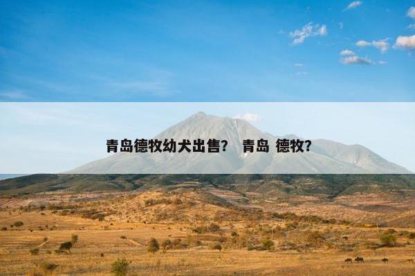 青岛德牧幼犬出售？ 青岛 德牧？