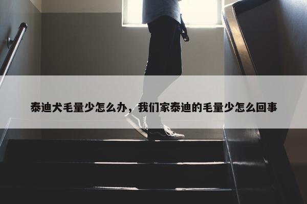 泰迪犬毛量少怎么办，我们家泰迪的毛量少怎么回事