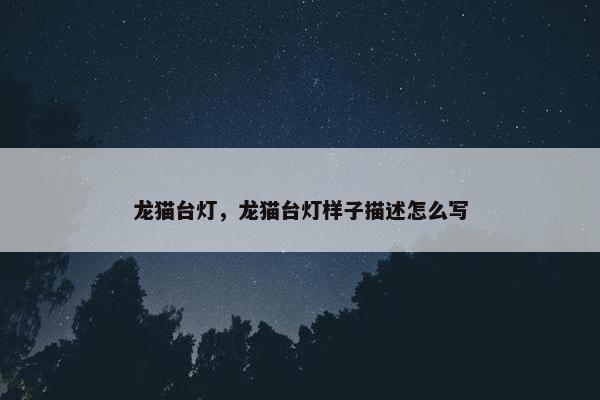 龙猫台灯，龙猫台灯样子描述怎么写