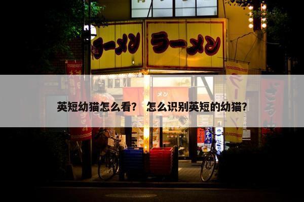 英短幼猫怎么看？ 怎么识别英短的幼猫？