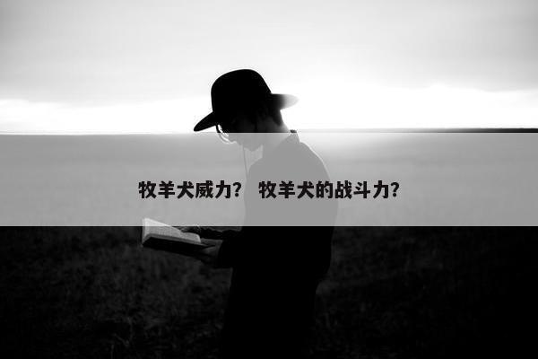 牧羊犬威力？ 牧羊犬的战斗力？