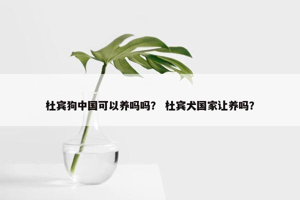 杜宾狗中国可以养吗吗？ 杜宾犬国家让养吗？