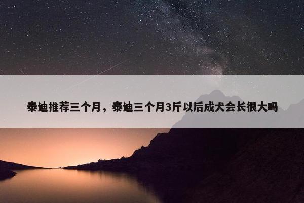 泰迪推荐三个月，泰迪三个月3斤以后成犬会长很大吗