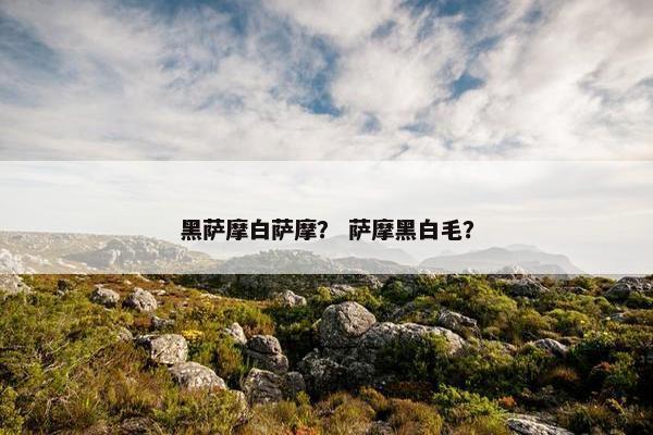 黑萨摩白萨摩？ 萨摩黑白毛？