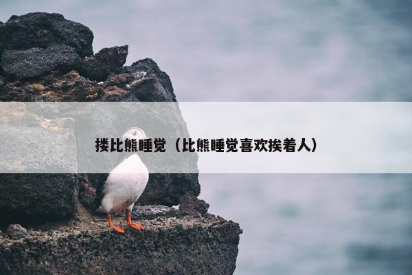 搂比熊睡觉（比熊睡觉喜欢挨着人）