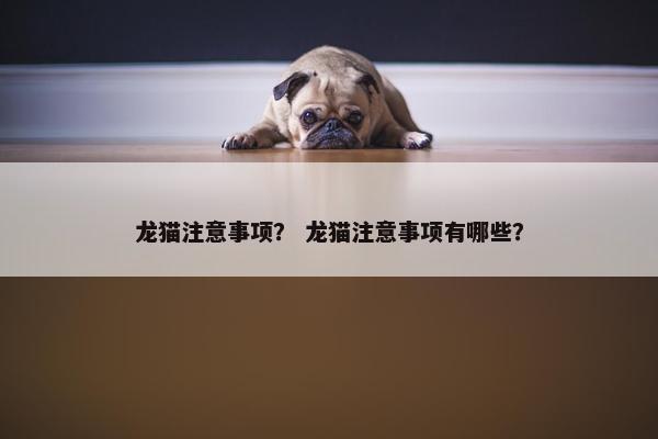 龙猫注意事项？ 龙猫注意事项有哪些？