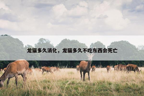 龙猫多久消化，龙猫多久不吃东西会死亡