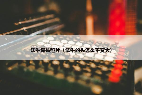 法牛爆头照片（法牛的头怎么不变大）