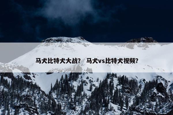马犬比特犬大战？ 马犬vs比特犬视频？