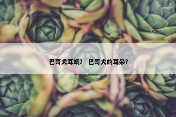 堵塞