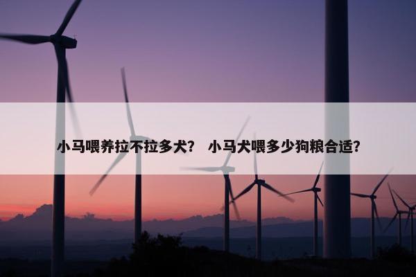 小马喂养拉不拉多犬？ 小马犬喂多少狗粮合适？