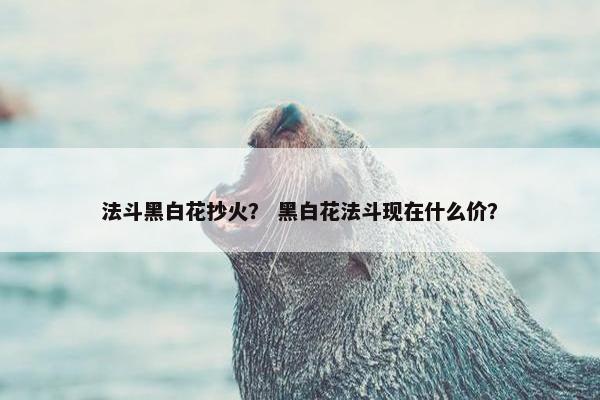 法斗黑白花抄火？ 黑白花法斗现在什么价？