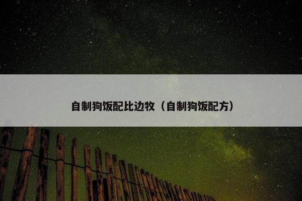 自制狗饭配比边牧（自制狗饭配方）