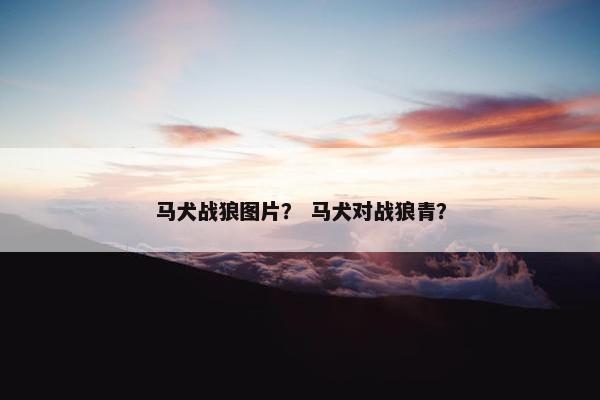 马犬战狼图片？ 马犬对战狼青？