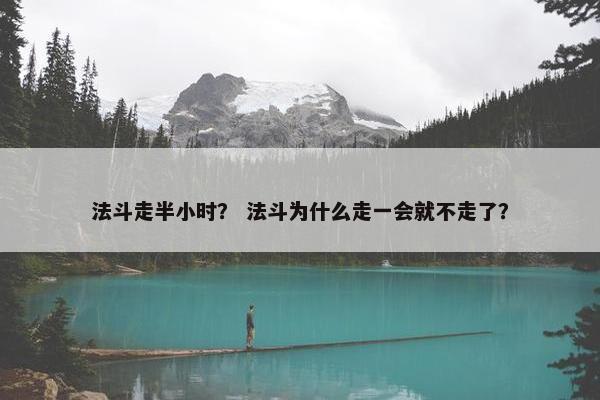 法斗走半小时？ 法斗为什么走一会就不走了？