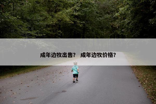 成年边牧出售？ 成年边牧价格？
