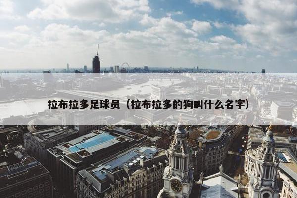 拉布拉多足球员（拉布拉多的狗叫什么名字）