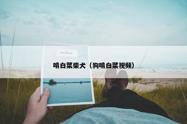 啃白菜柴犬（狗啃白菜视频）