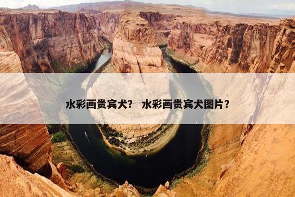 水彩画贵宾犬？ 水彩画贵宾犬图片？