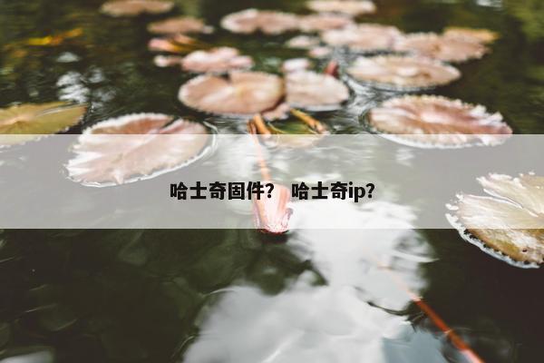 哈士奇固件？ 哈士奇ip？
